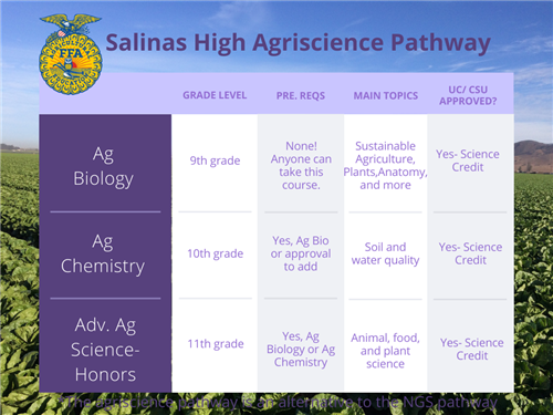Salinas High Ag pathway 